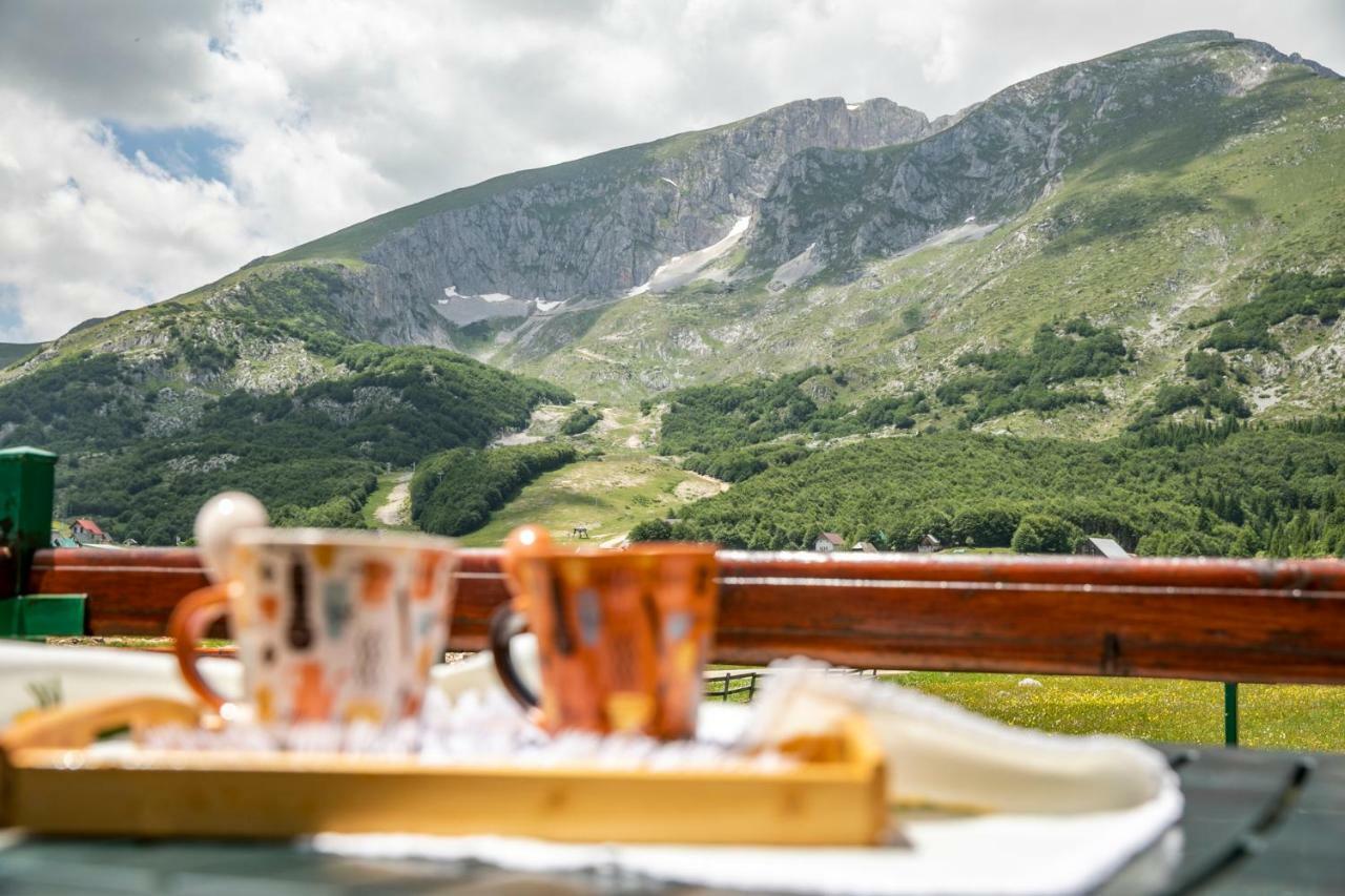 Guest house Holiday Žabljak