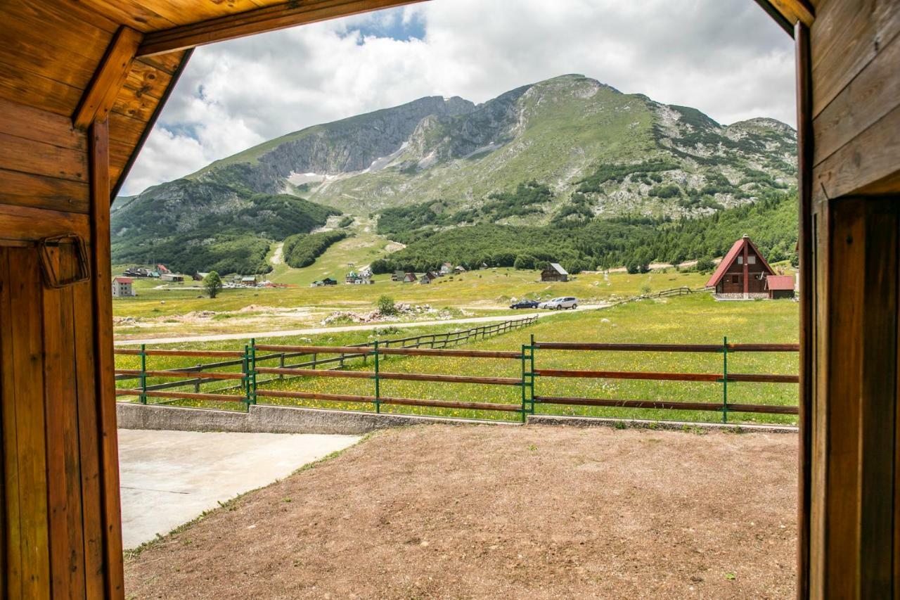 Guest house Holiday Žabljak